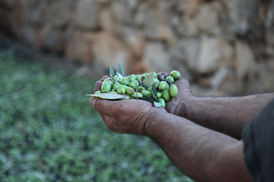 Khayat Heirloom Olives